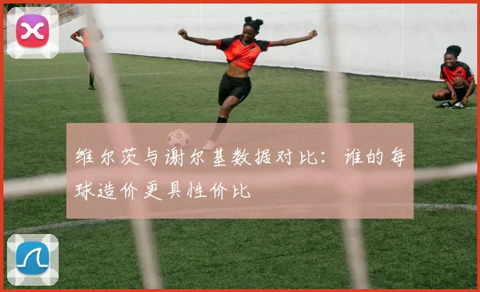 维尔茨与谢尔基数据对比：谁的每球造价更具性价比